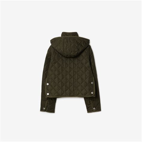 Cropped Quilted Nylon Jacket in Dark military khaki 